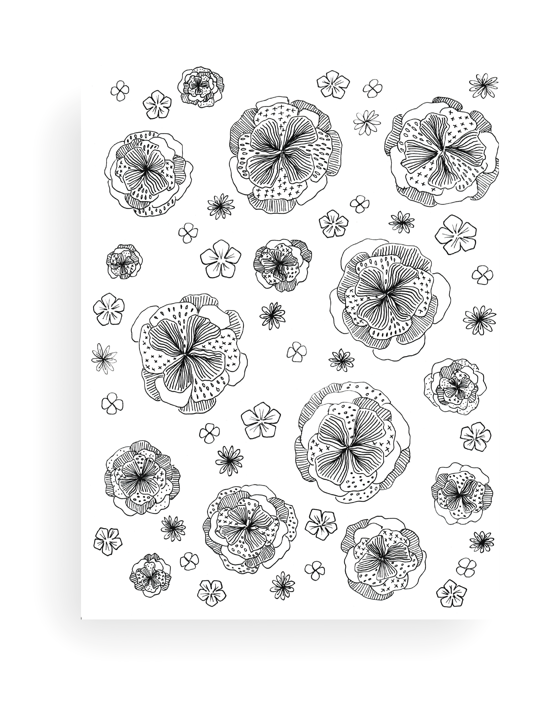 5 Page Flower Coloring Set