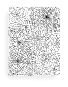 5 Page Flower Coloring Set